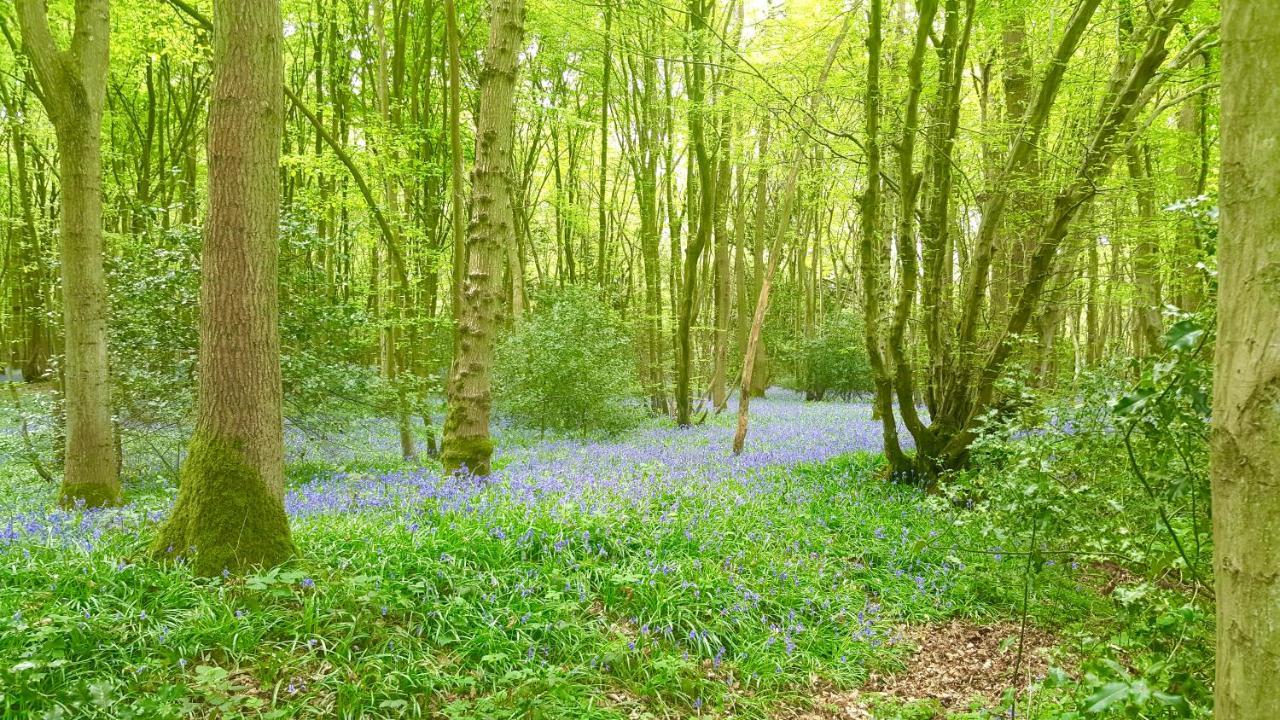 Ashwood Holiday Cottage. Ashford  Esterno foto